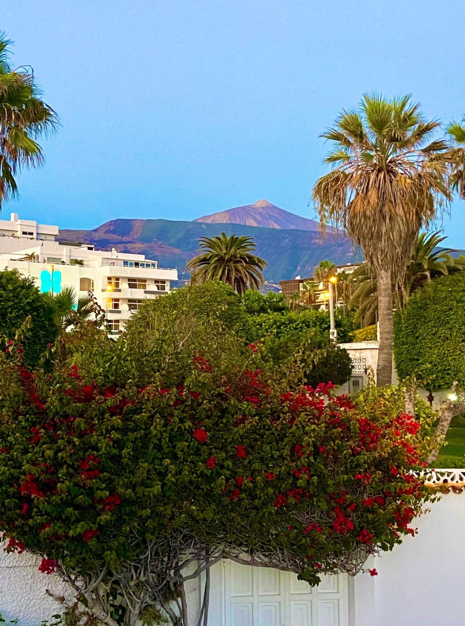 Villa Oasis La Paz - Pelinor Studio - Adults Only Puerto de la Cruz  Bagian luar foto