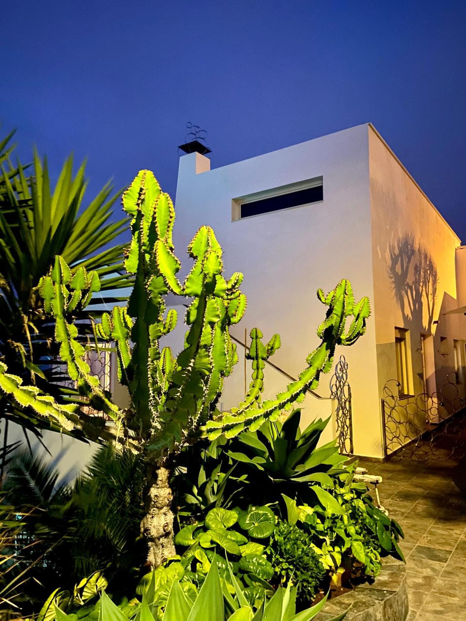 Villa Oasis La Paz - Pelinor Studio - Adults Only Puerto de la Cruz  Bagian luar foto