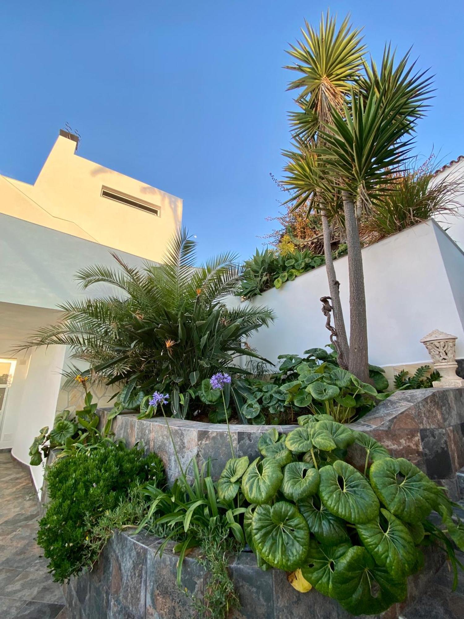 Villa Oasis La Paz - Pelinor Studio - Adults Only Puerto de la Cruz  Bagian luar foto